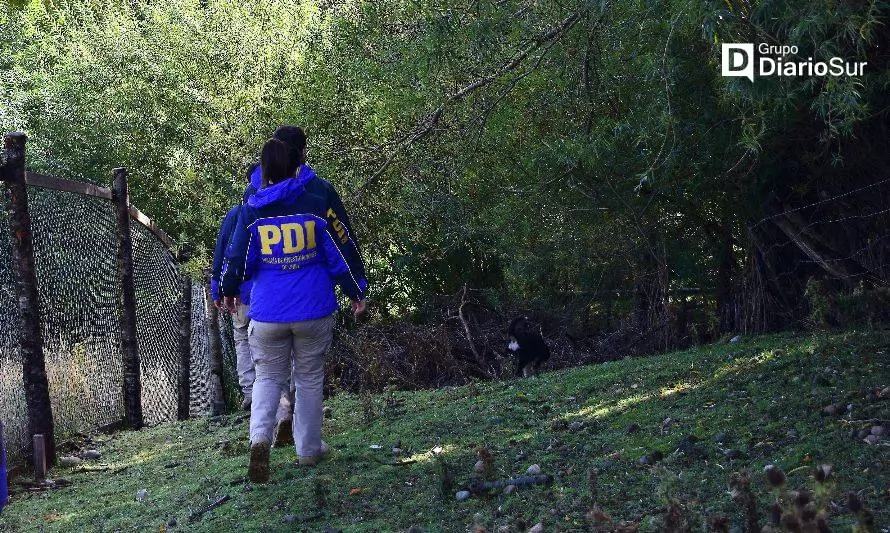 PDI investiga maltrato animal contra un gato en Villa Mañihuales