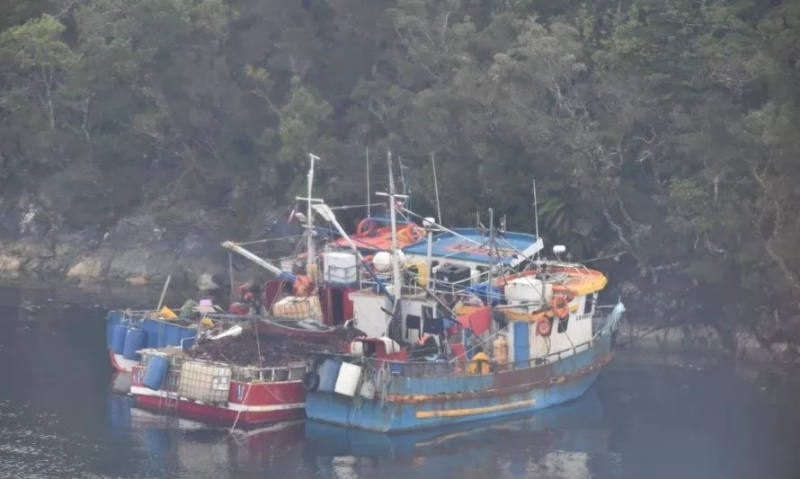 Sernapesca sorprende más de 40 embarcaciones en zona de pesca de Aysén 