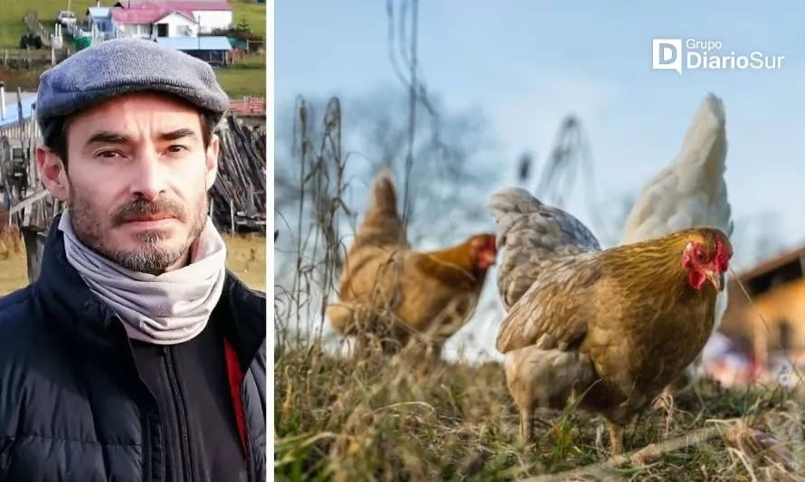 Influenza aviar: ¿a la puerta de la Región de Aysén?