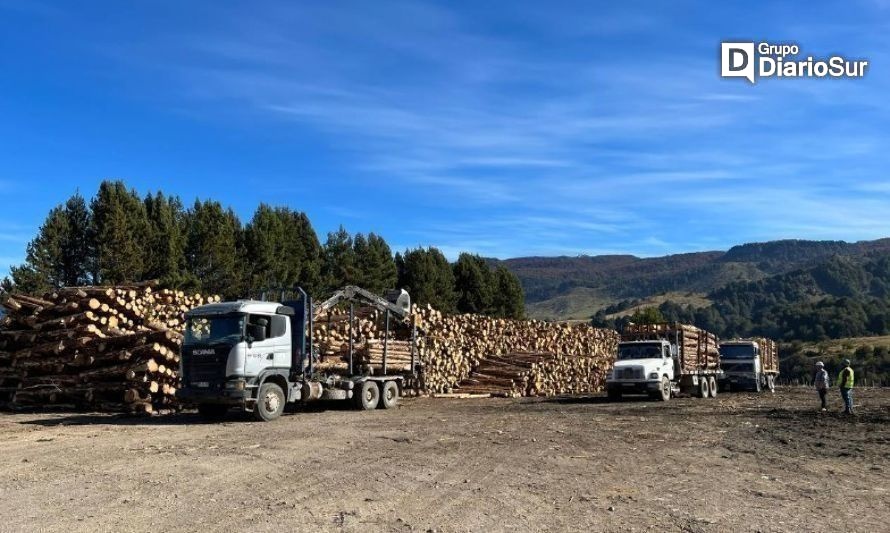 Futura planta de pellet tendrá primera producción a fin de año