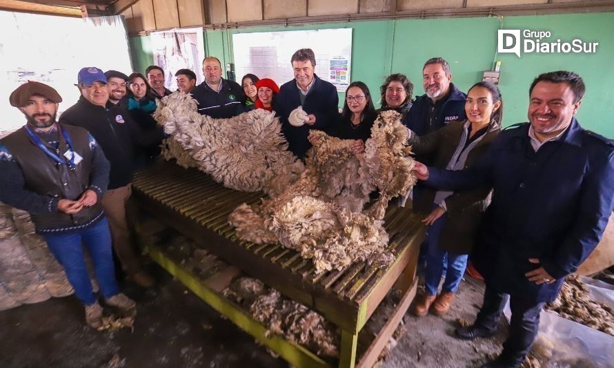 Conformaron mesa de desarrollo ovino en la Región de Aysén 