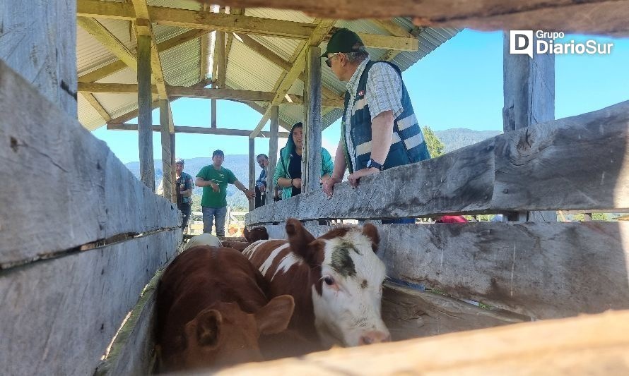 Implementan programa Apoyo a la Trazabilidad de la Pequeña Ganadería