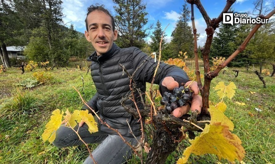 Chilenos, invitados: sanación, viticultura y agroecoturismo en equilibrio con la naturaleza en Lago Puelo
