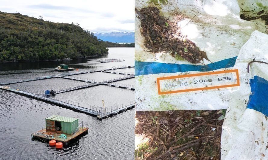 Encuentran abandonados en la patagonia residuos de industria salmonera que datan de 2005