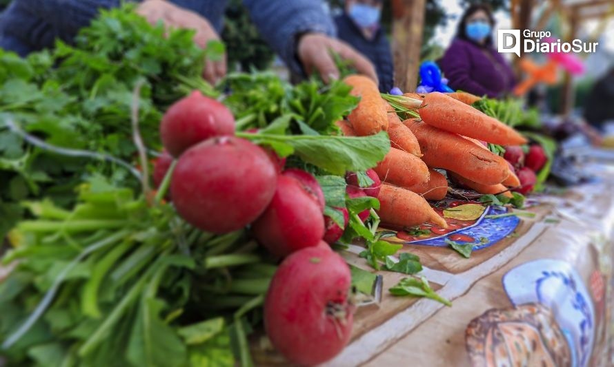 Destinan recursos para apoyar proyectos hortofrutícolas de Aysén