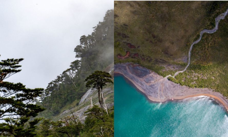 Impulsan encuentros para la conservación y gestión ambiental del Santuario de la Naturaleza Meullín-Puye