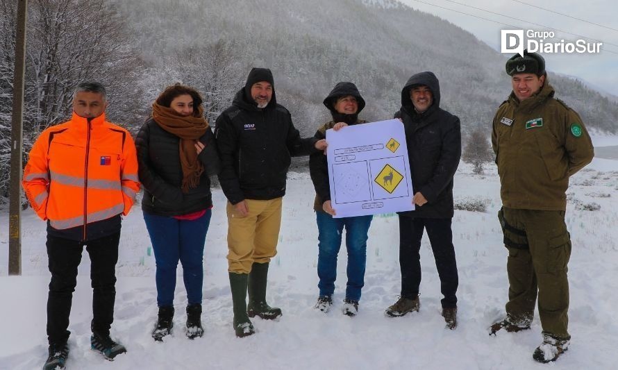 Instalarán señales viales para protección de fauna nativa 