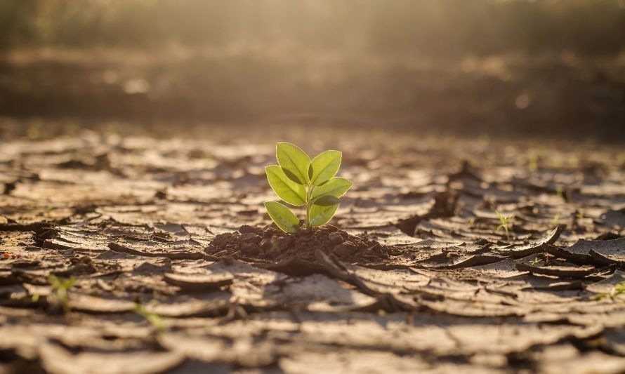 Convocan a coyhaiquinos a seminario abierto sobre cambio climático