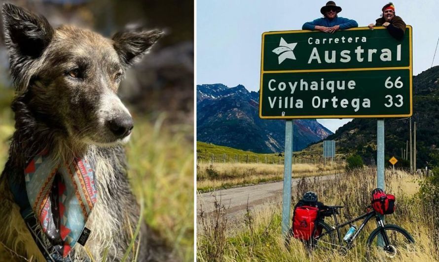 [VIDEO] De Aysén a Estados Unidos: perrita abandonada se robó el corazón de mochilera norteamericana