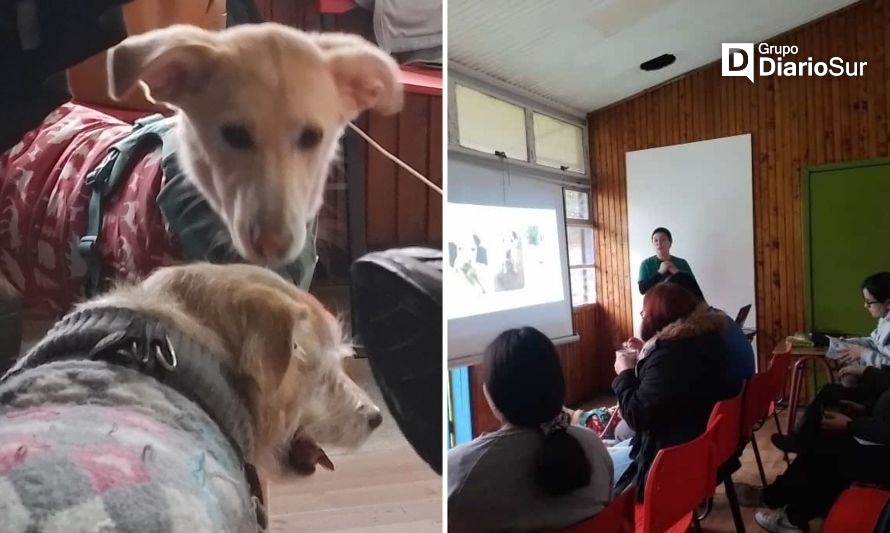 Día del Perro: en Cisnes realizan charla sobre tenencia responsable de mascotas