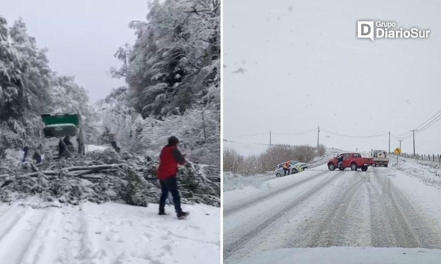 Nevadas provocan patinazos de vehículos y caída de un árbol