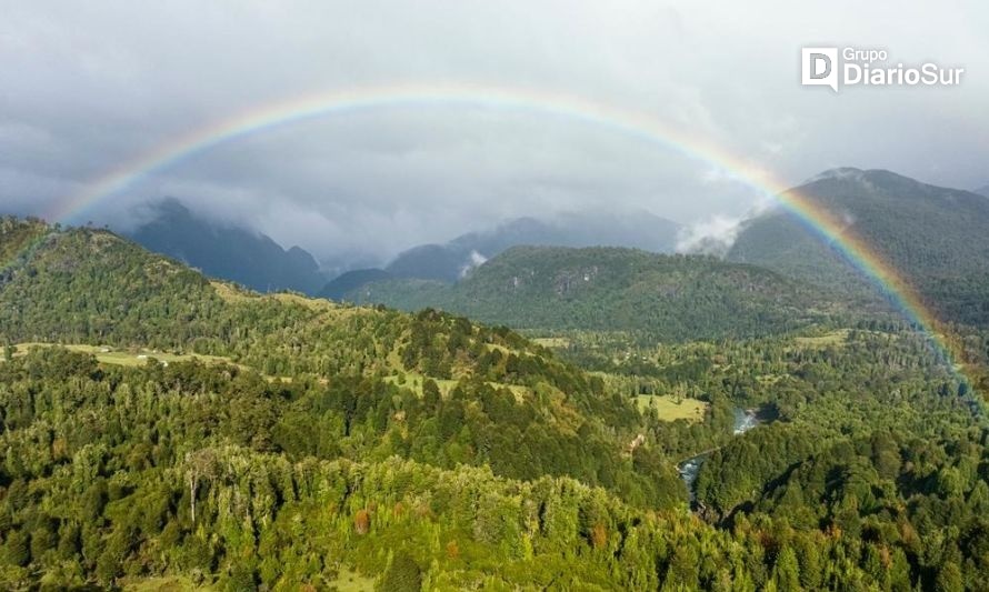 Importante alianza para plantar más de 60 mil árboles nativos en Aysén