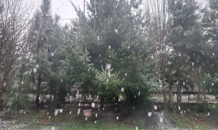 Se cumple el pronóstico y algunos sectores podrían pasar Fiestas Patrias bajo la nieve 