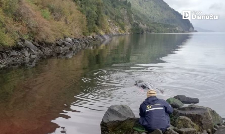 Varamiento de ballena en Aysén moviliza a Sernapesca 