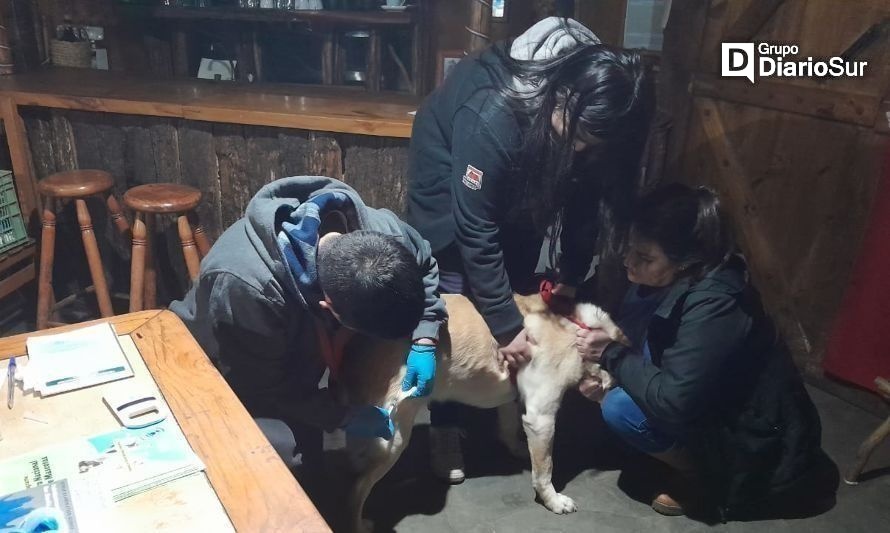 Operativos veterinarios de Aysén benefician a más de 300 mascotas