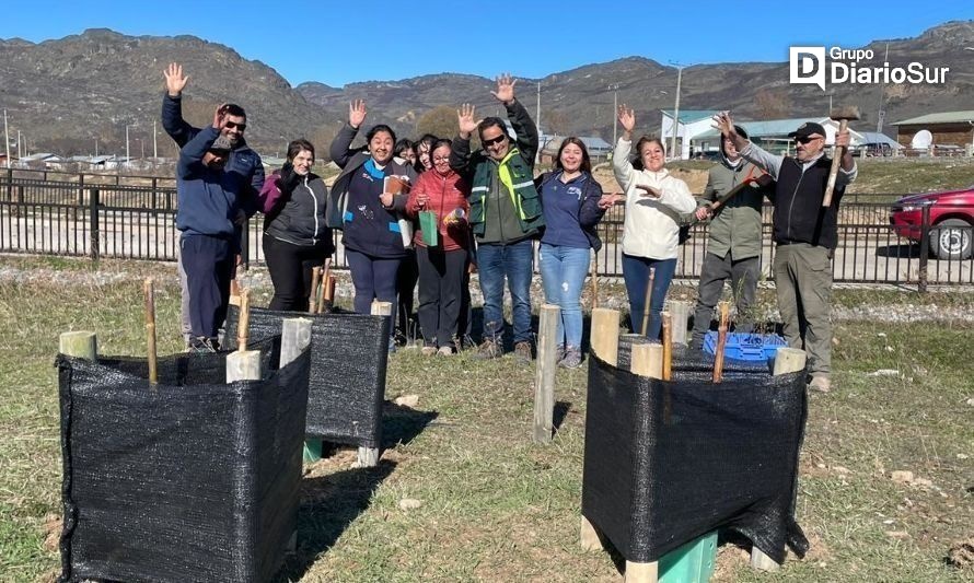 Avanza proyecto de arborización comunitario en Villa La Tapera