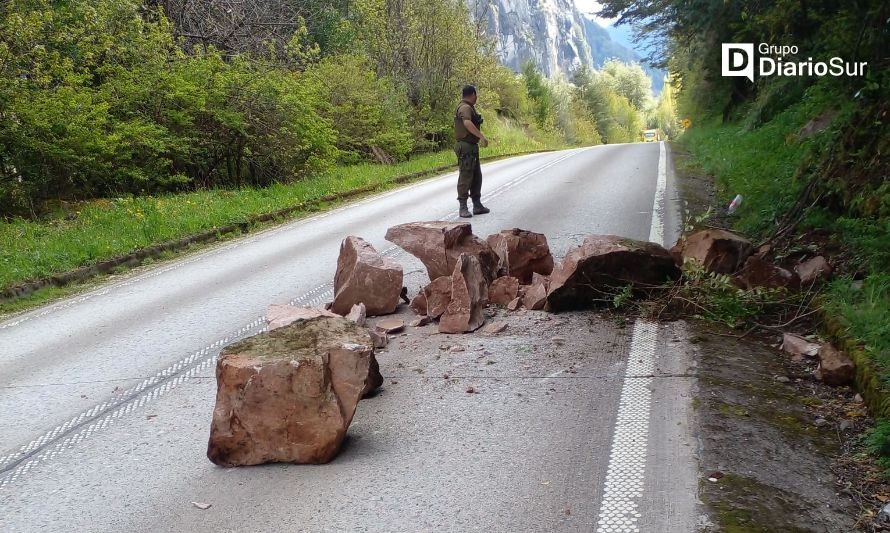 Precaución conductores: rodado en ruta 240