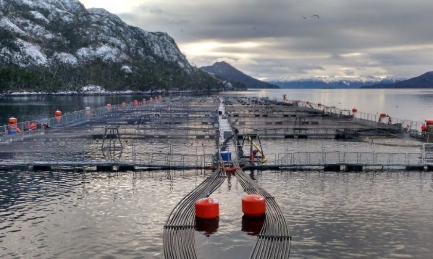 Día Nacional de Áreas Protegidas: comunidades exigen liberar estos espacios de las salmoneras