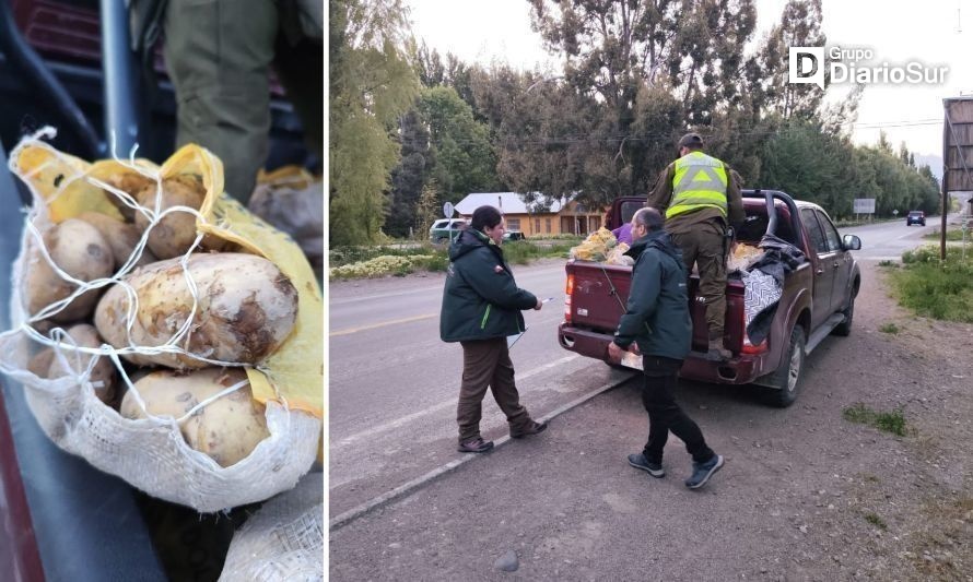 Decomisan 300 kilos de papas argentinas en Chile Chico