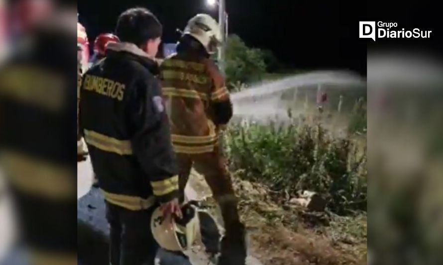 Puerto Aysén: Bengala de año nuevo provocó incendio forestal