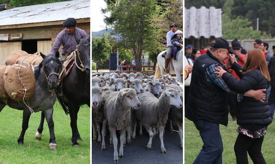 Cochrane hace gala de su riqueza cultural con el retorno del Día de la Ovejería