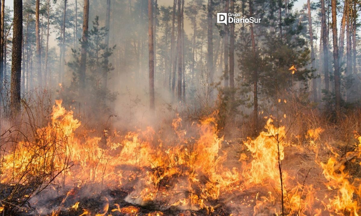 Edelaysén alerta a clientes por altas temperaturas