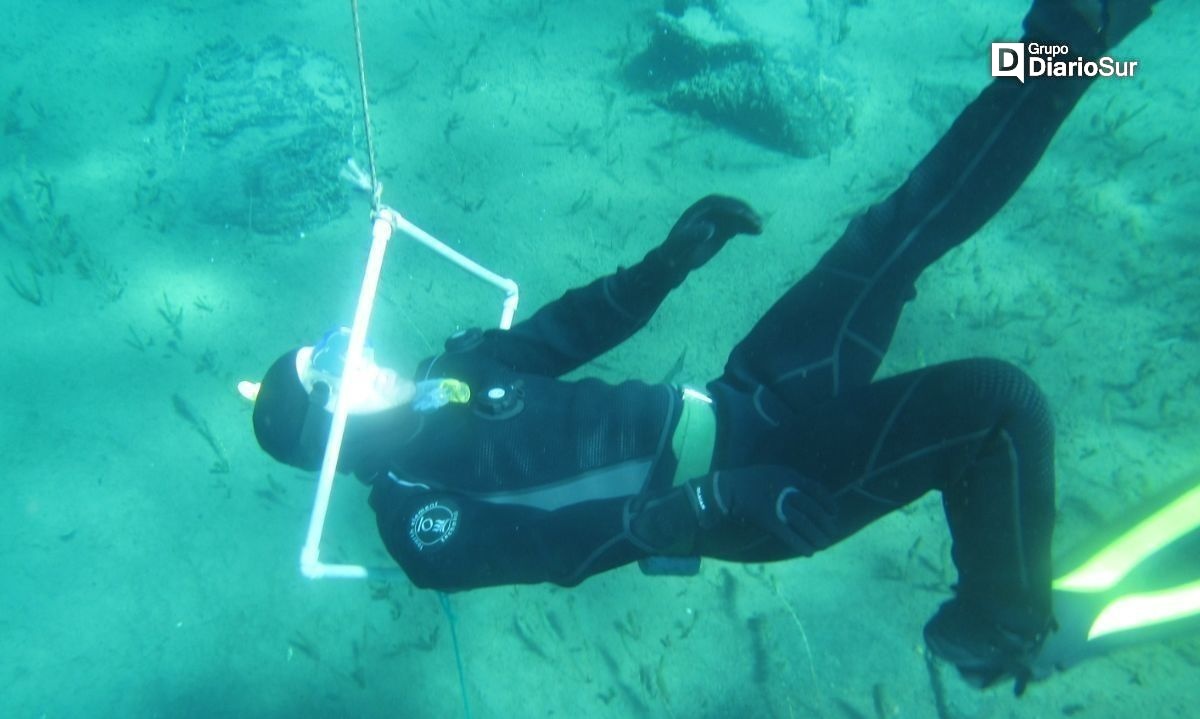 En Cochrane realizan entretenido taller de snorkel para disfrutar del verano