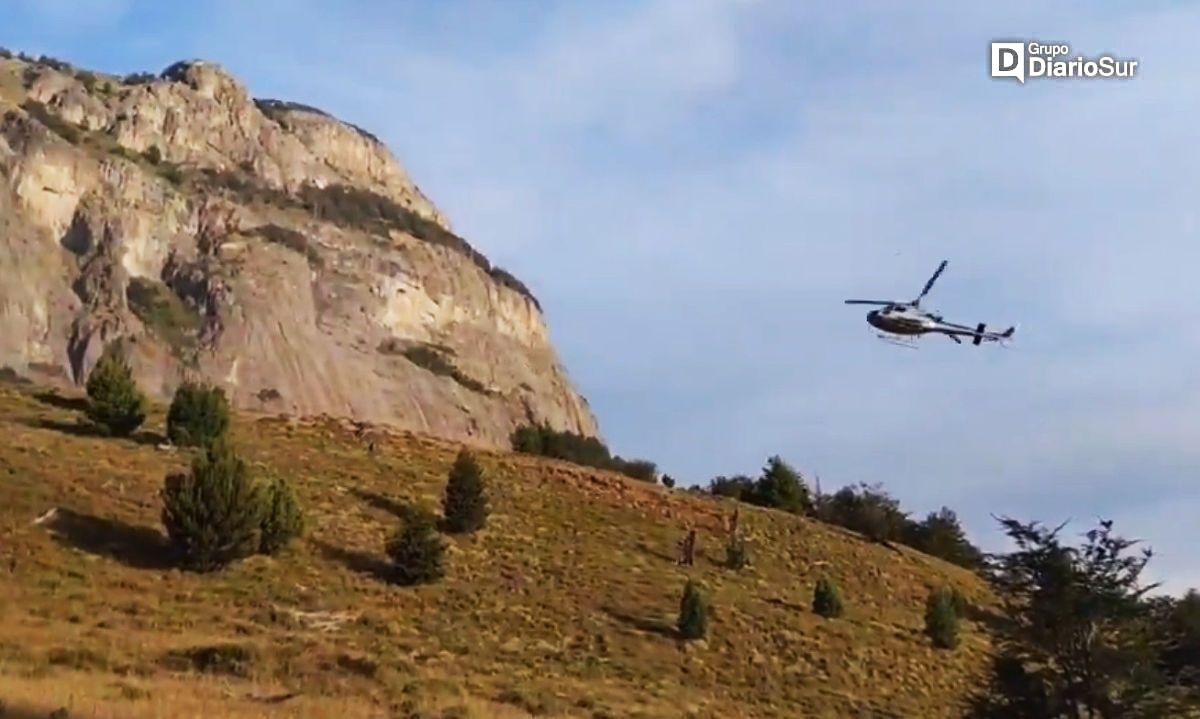 Cerca de ser controlado se encuentra incendio forestal en recta Foitzick