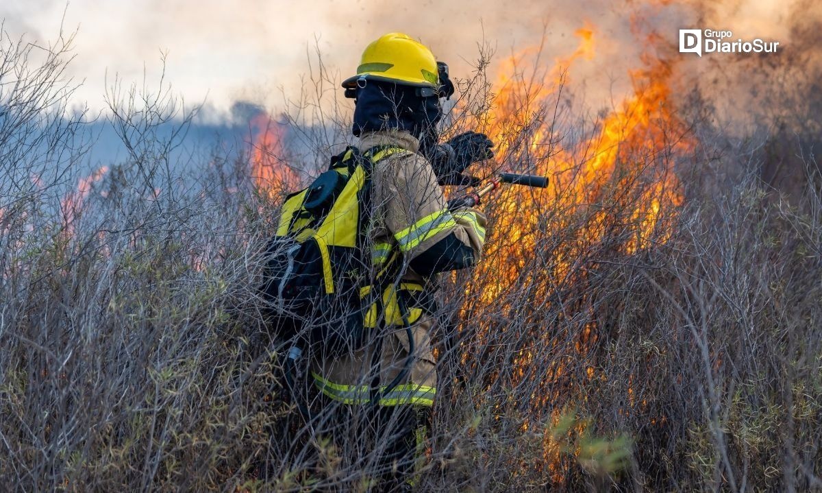 Coyhaique y Cochrane solidarizan con afectados de incendios en Viña del Mar