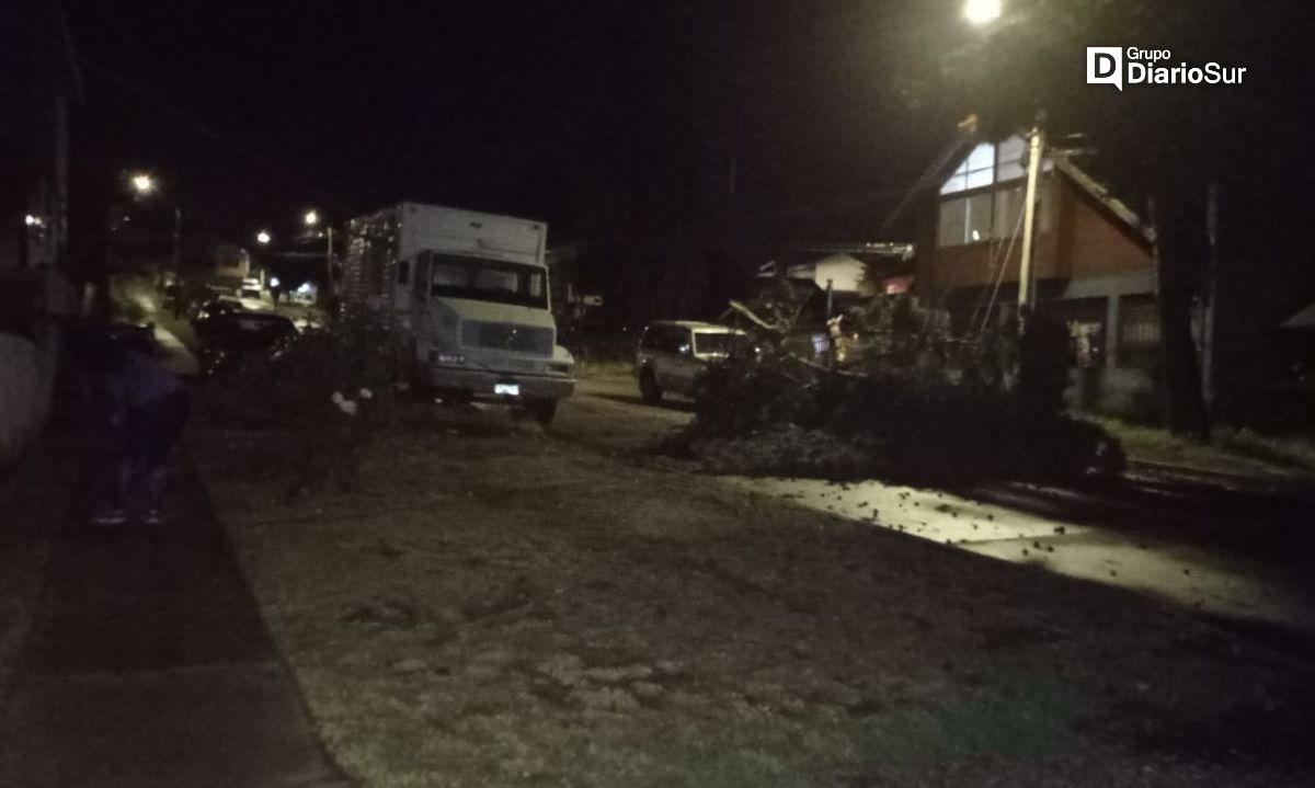 Fuertes vientos provocaron daños y caída de un árbol en Coyhaique