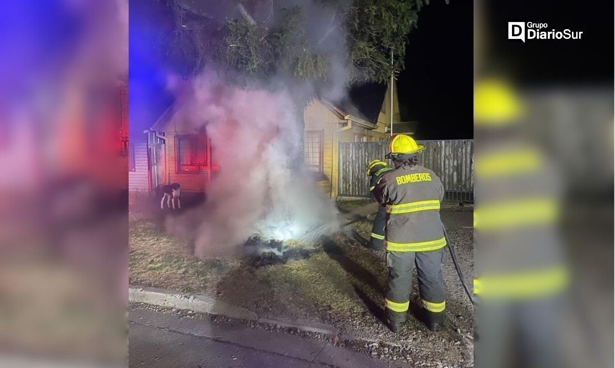 Actuar de bomberos evitó incendio de un árbol