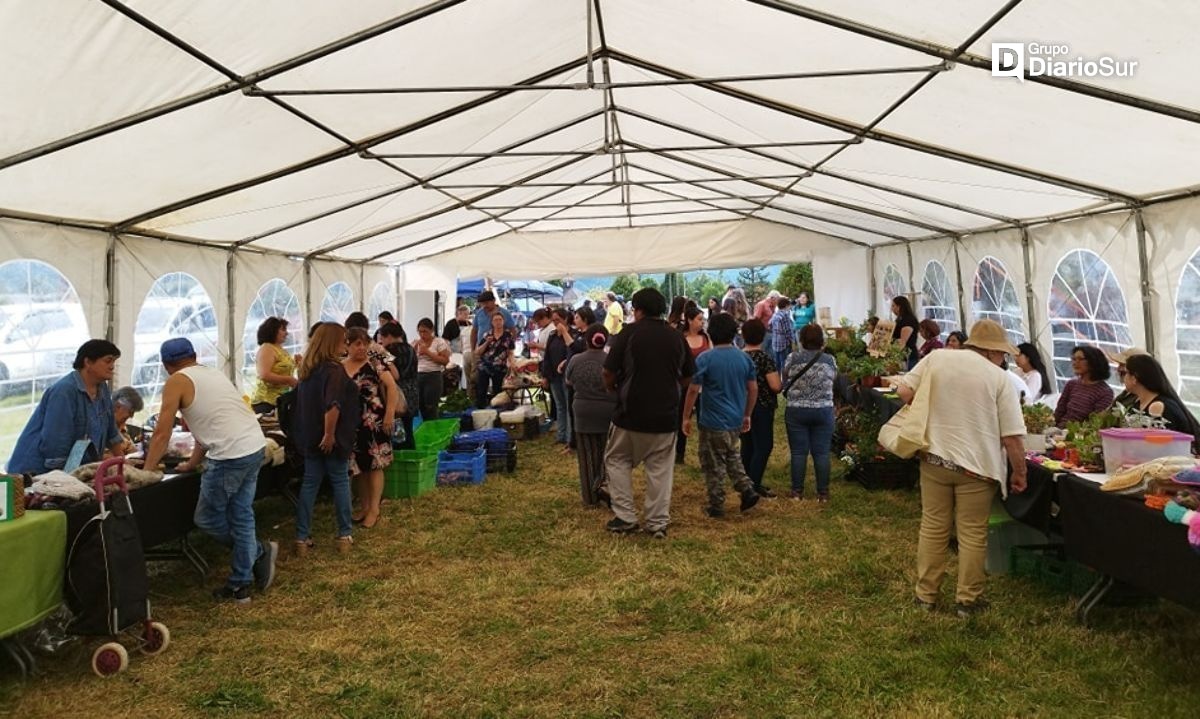 Fiestas por doquier en el verano de Cisnes