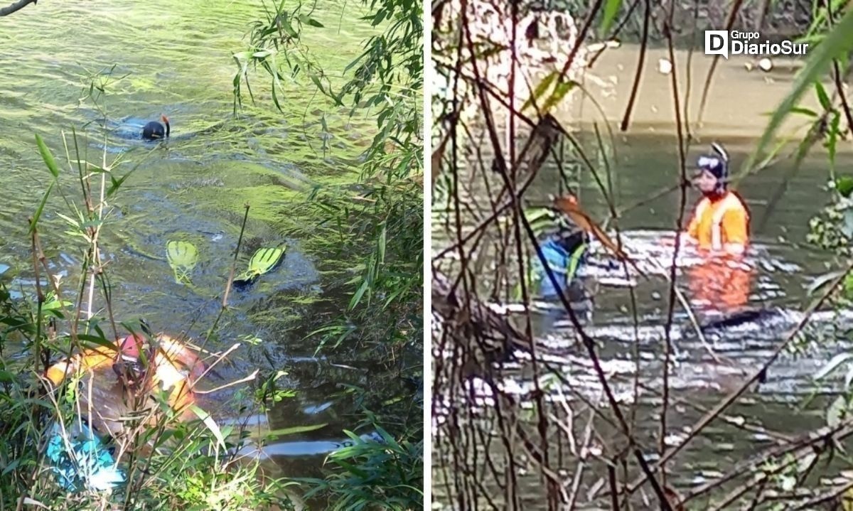 Psíquica de Chimbarongo habría sido clave en hallazgo de cuerpo en la Región de Los Ríos