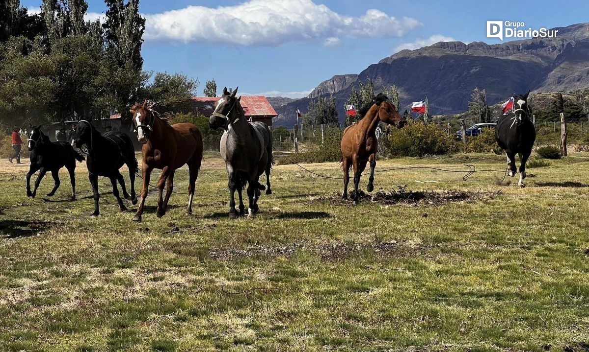 Jineteadas se trasladan hasta Chile Chico