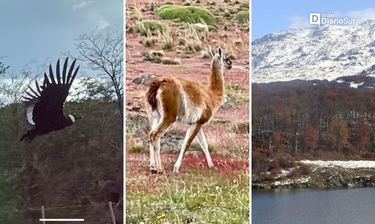 Conaf de Aysén conmemora el Día Mundial de la Naturaleza