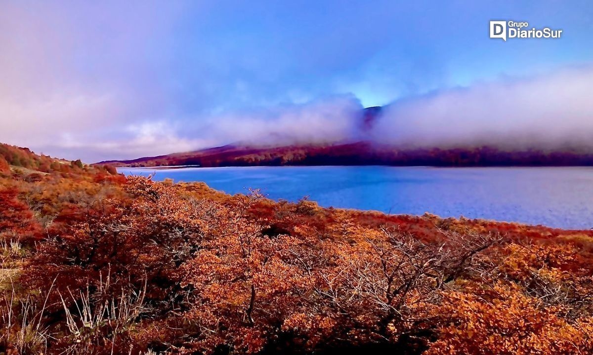 Conaf informa reapertura de Reserva Lago Carlota