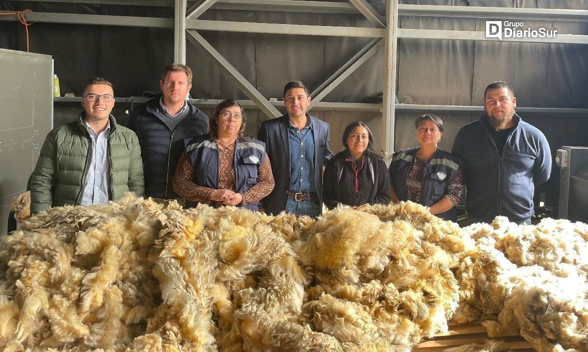 AG Río Baker preocupada por crisis del mercado de la lana