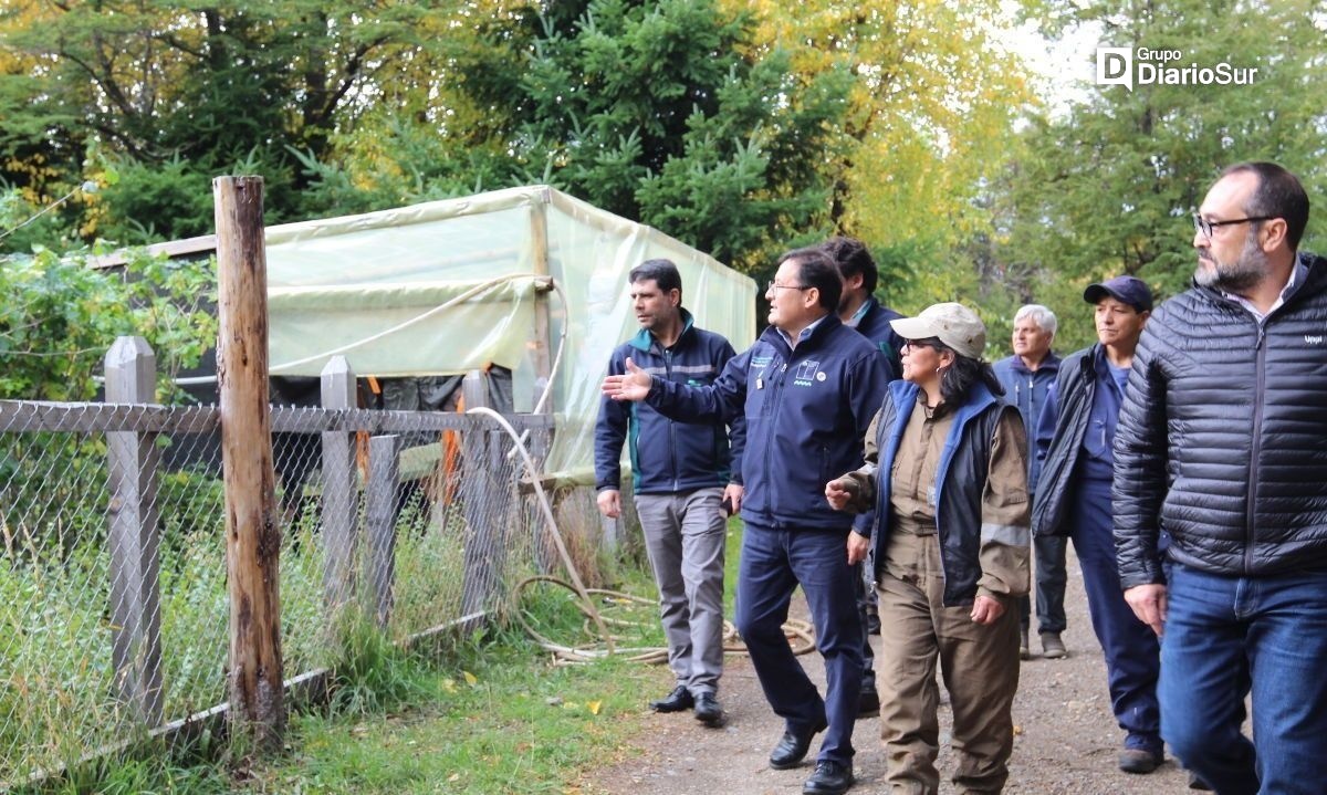 Gobierno promueve beneficios del programa de Arborización de Conaf