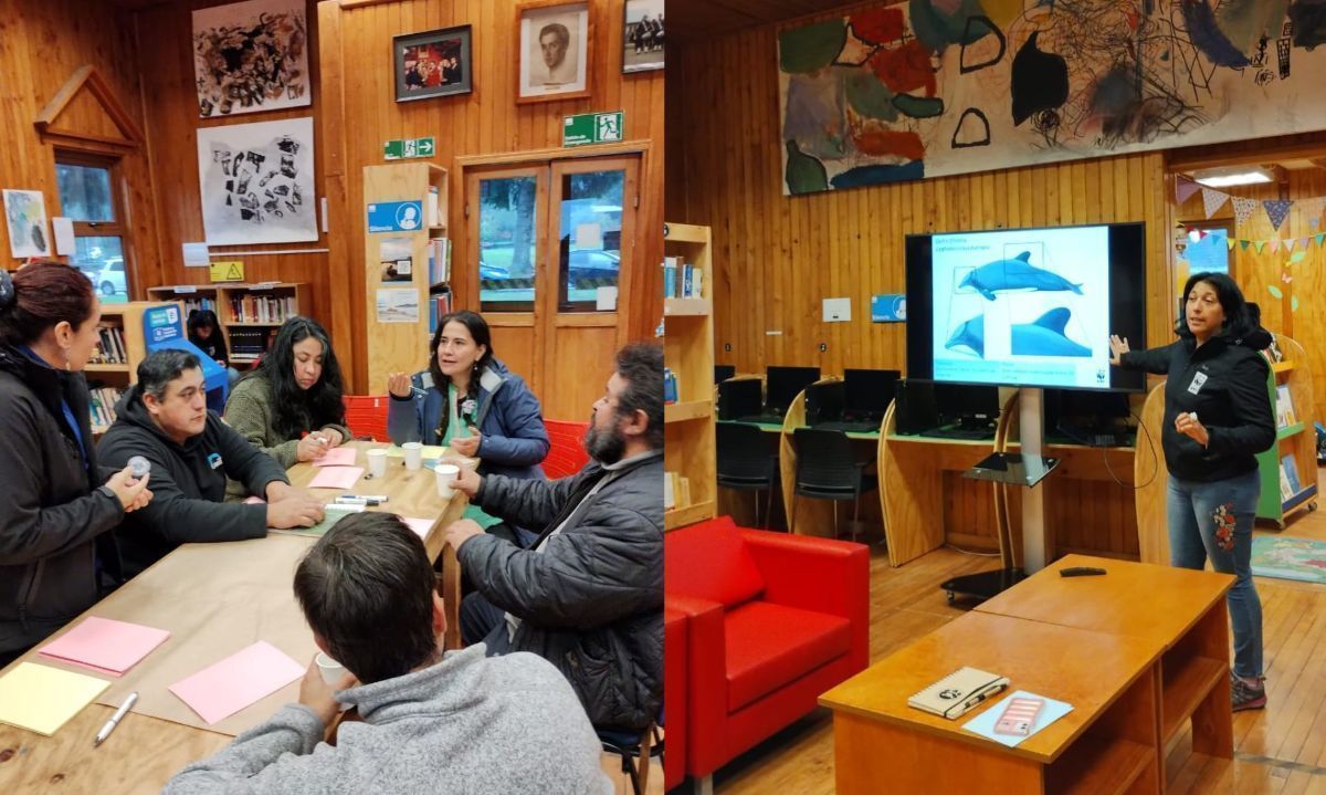 Con visiones de la comunidad avanza fase participativa del plan que busca proteger al delfín chileno