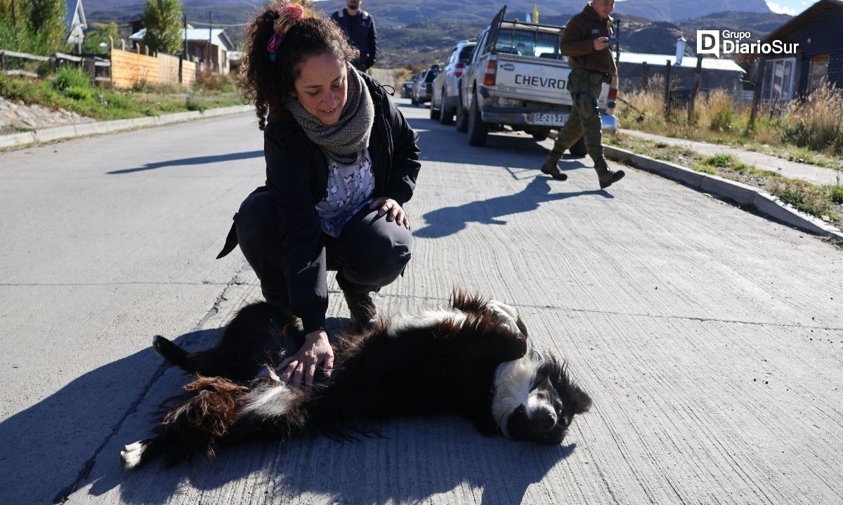 Realizan fiscalización por tenencia responsable de mascotas en Cochrane