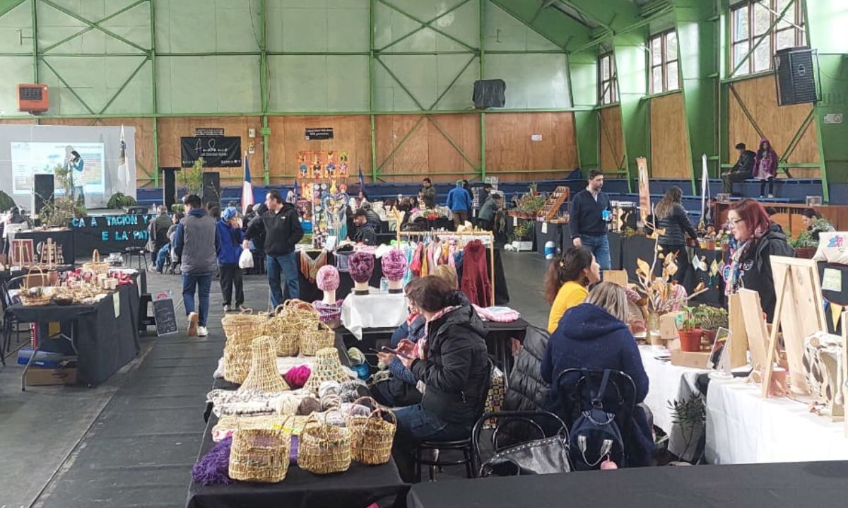 Investigación y emprendimientos: inicia feria de capacitación en Puerto Aysén