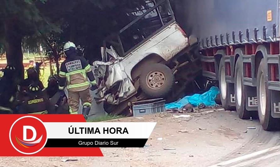 Tragedia en Puyehue: 4 víctimas fatales dejó colisión entre camión y camioneta