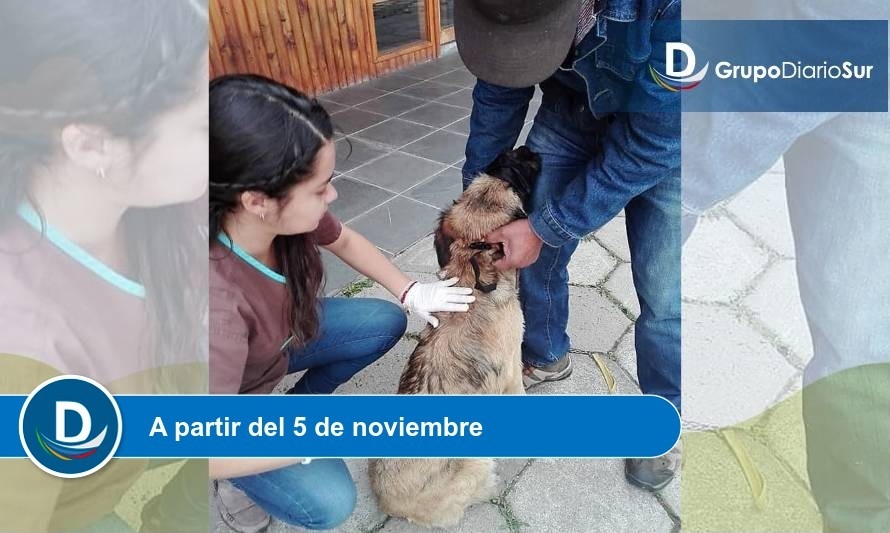 “Como perros y gatos”: Programa radial guadalino sobre tenencia responsable de mascotas