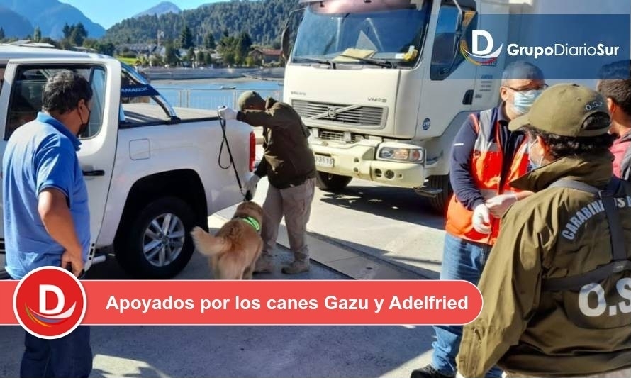 Trabajo conjunto de Carabineros, Aduanas y Armada permitió detectar drogas en Puerto Cisnes