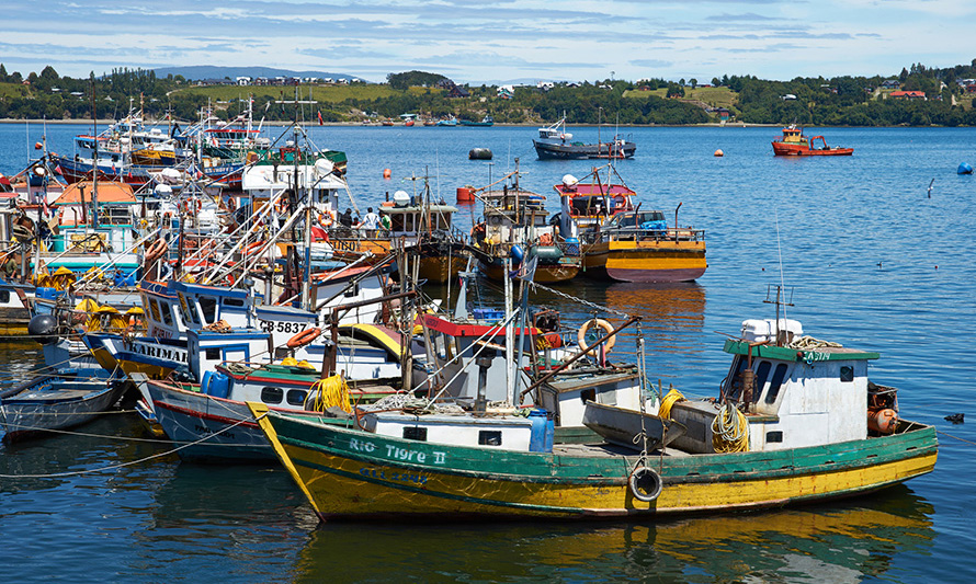 Pescadores artesanales ven con preocupación que día de San Pedro ya no sea feriado legal